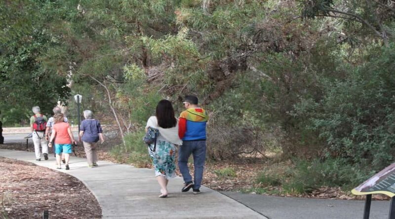 Half-Day Morning Perth & Fremantle City Explorer - The Value of This Experience