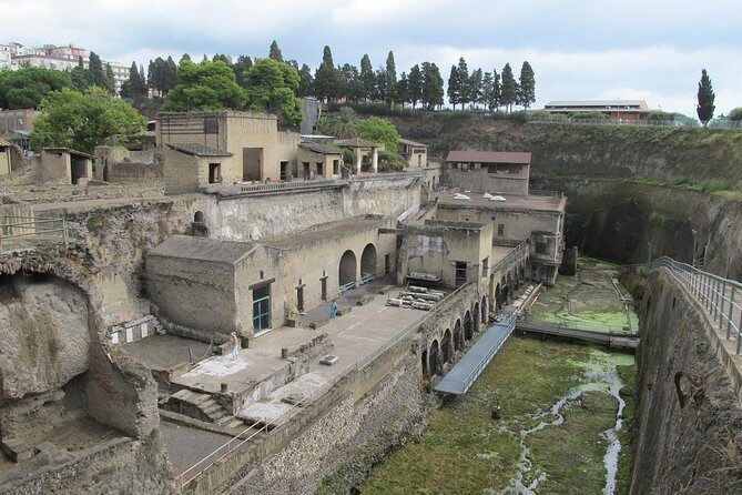 Half Day Morning Tour of Herculaneum from Sorrento - Why Choose This Tour?