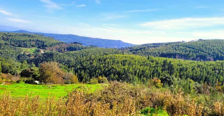 Half-Day Mountain Jeep Safari with firewater tasting - What to Expect from This Jeep Safari