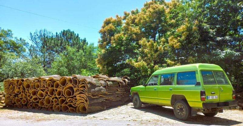 Half-Day Mountain Jeep Safari with firewater tasting - What’s Included & Practical Details