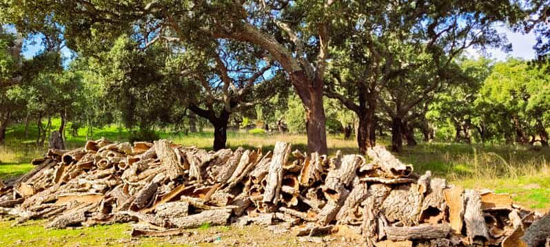 Half-Day Mountain Jeep Safari with firewater tasting - FAQ