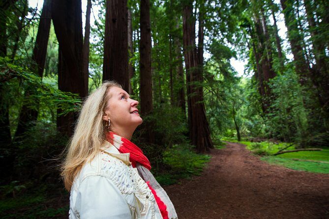 Half-Day Muir Woods & Sausalito Tour with Entry Ticket Included - Who Is This Tour Best For?
