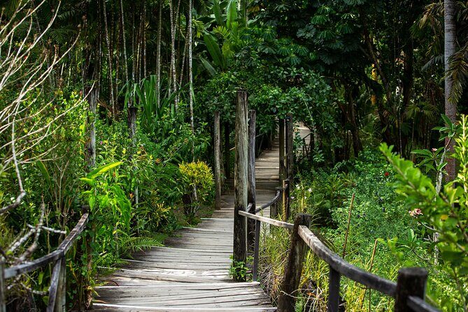 Half Day Nadi Tour incls Sri Siva Temple, Orchid Gardens,Local Village & Markets - FAQs