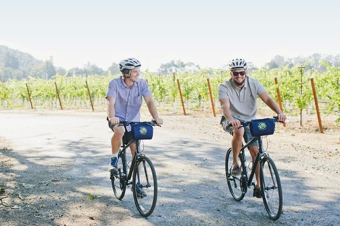 Half-Day Napa Valley E-Bike Tour - What Travelers Say