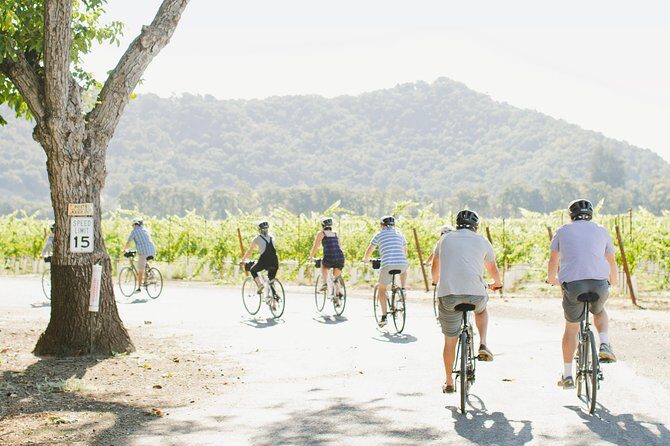 Half-Day Napa Valley E-Bike Tour - Is It Family-Friendly?