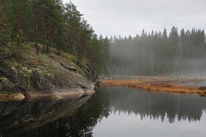 Half-Day Nature Adventure to Nuuksio National Park from Helsinki - Discovering Nuuksio: An In-Depth Review