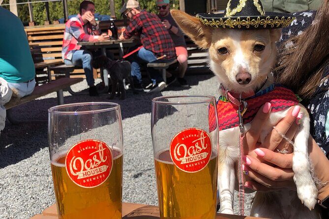 Half-Day Niagara Micro Brewery Tour - Key Points