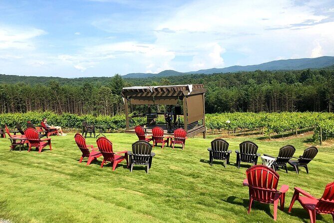 Half-Day North Georgia Wine Country Tour From Atlanta - Value for Money