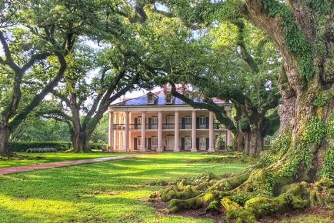 Half-Day Oak Alley Plantation Tour in Vacherie - The Experience in Detail