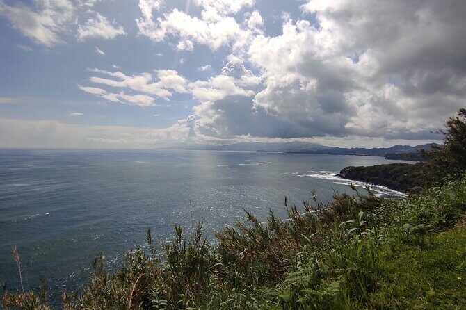 Half Day Off Road Tour in Azores - Who Should Consider This Tour?