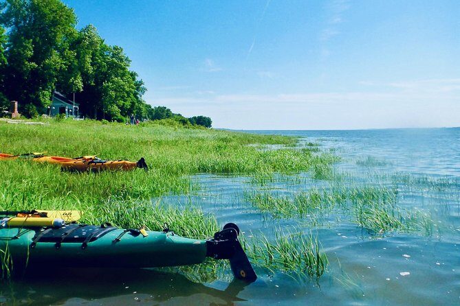 Half-Day Orleans Island Small-Group Sea Kayaking Tour - What to Expect from Your Kayaking Adventure