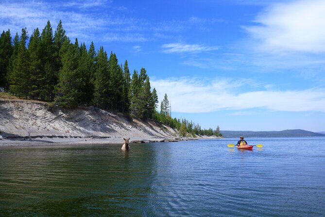 Half Day Paddle on Yellowstone Lake - Practical Tips for Doing the Tour