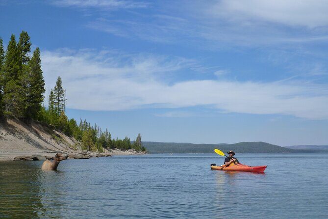 Half Day Paddle on Yellowstone Lake - Is This Tour Right for You?