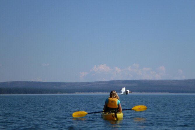 Half Day Paddle on Yellowstone Lake - Final Thoughts