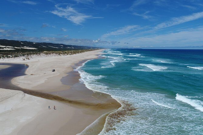 Half-Day Pemberton National Parks Beach and Forest Eco Adventure - FAQ