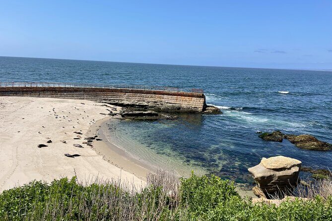 Half Day Performance eBike Rental - Frequently Asked Questions