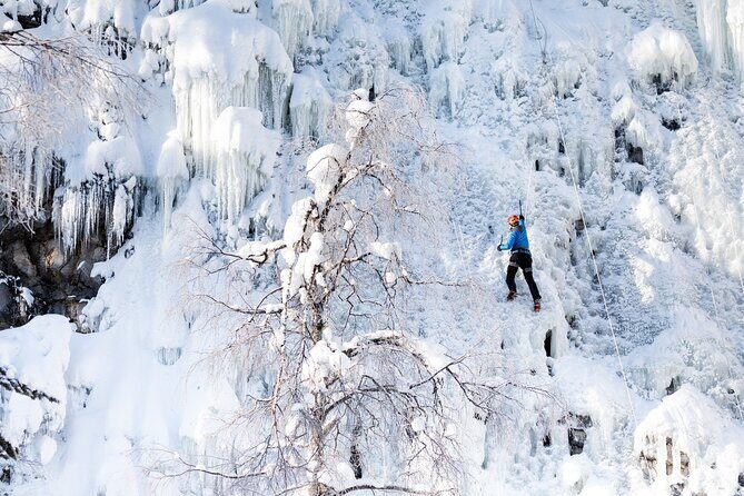 Half-Day Premium Ice Climbing in Pyhä Lapland - Authentic Experiences from Travelers