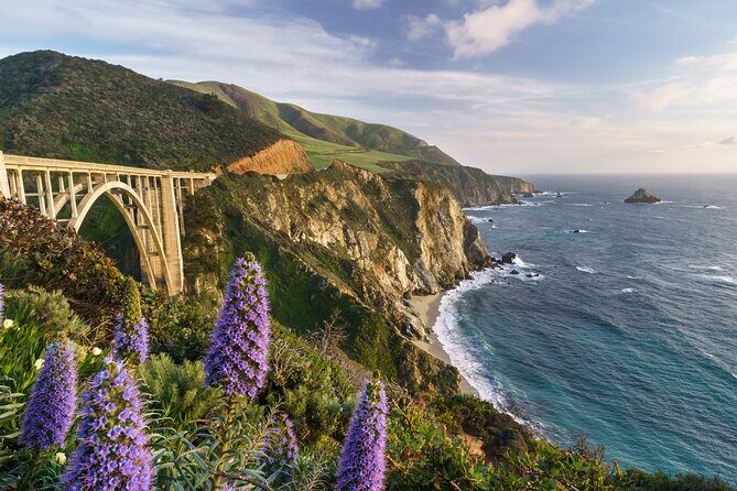 Half Day Private Big Sur Driving Tour in California - Key Points