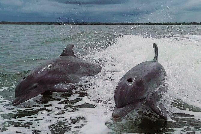 Half-Day Private Boating On Avalon Funship - Clearwater Beach - The Sum Up