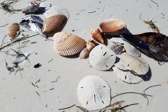 Half-Day Private Boating On Black Hurricane - Indian Rocks Beach - FAQ