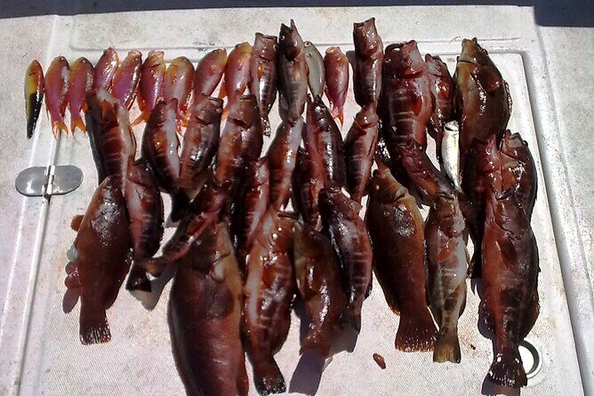 Half-Day Private Coastal Fishing Escape - FAQ