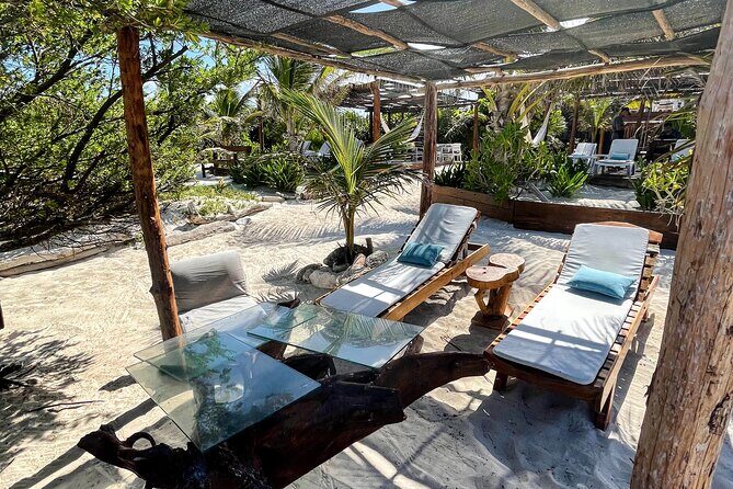 Half Day Private Costa Maya Beach Break - Value and Overall Impression