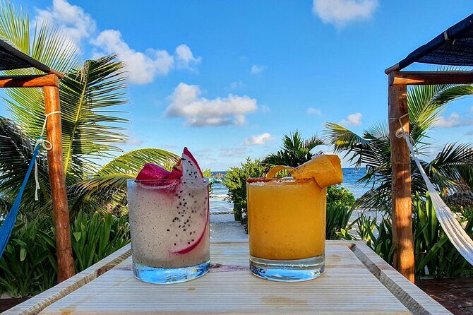 Half Day Private Costa Maya Beach Break - Who Should Consider This Tour?