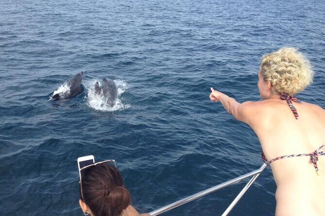 Half-Day Private Cruise with Drinks and Nibbles Included in Lagos - The Experience in Detail