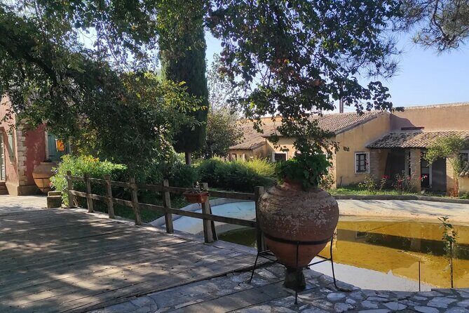 Half Day Private Durrels Tour in Corfu - Exploring the Durrells in Corfu: A Friendly Review of the Half-Day Private Tour