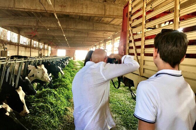 Half Day Private Emilia Foodie Experience - Final Thoughts: Who Will Love This Tour?