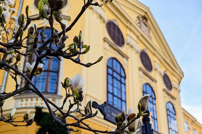 Half-Day Private Food and Wine Walking Tour Oradea Romania - Key Points