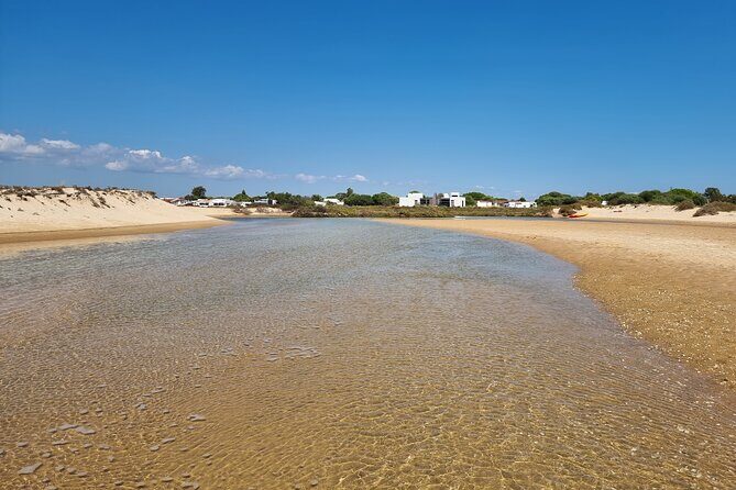 Half-Day Private Guided Kayak Island Tour - Who Is This Tour Best Suited For?