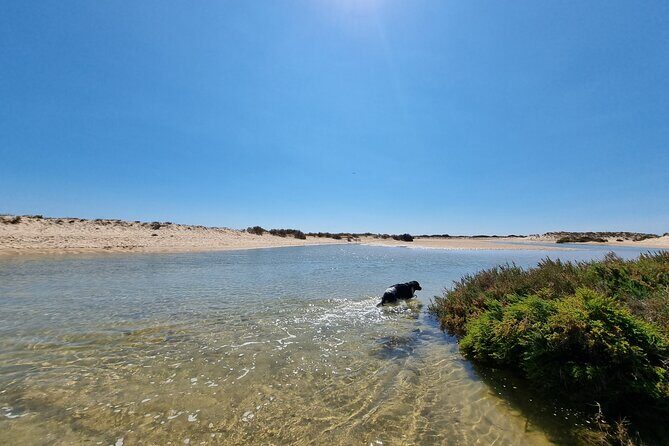 Half-Day Private Guided Kayak Island Tour - Pricing and Value