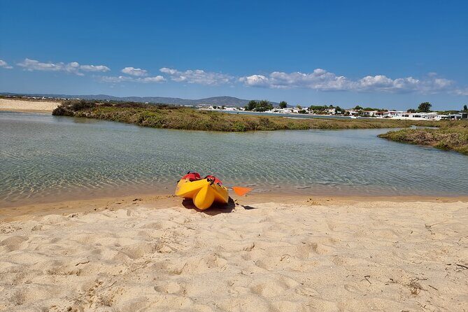 Half-Day Private Guided Kayak Island Tour - The Sum Up: Who Should Consider This Tour?