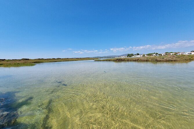 Half-Day Private Guided Kayak Island Tour - FAQ