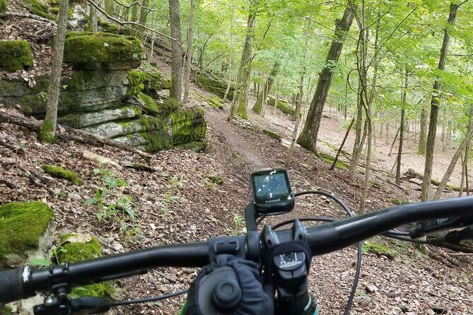 Half-Day Private Guided Mountain Bike Tour in Bentonville - Key Points