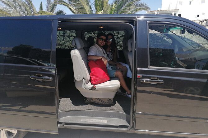 Half-Day Private Guided Tour in Mykonos - The Practical Details