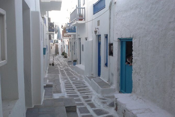 Half-Day Private Guided Tour in Mykonos - The Sum Up