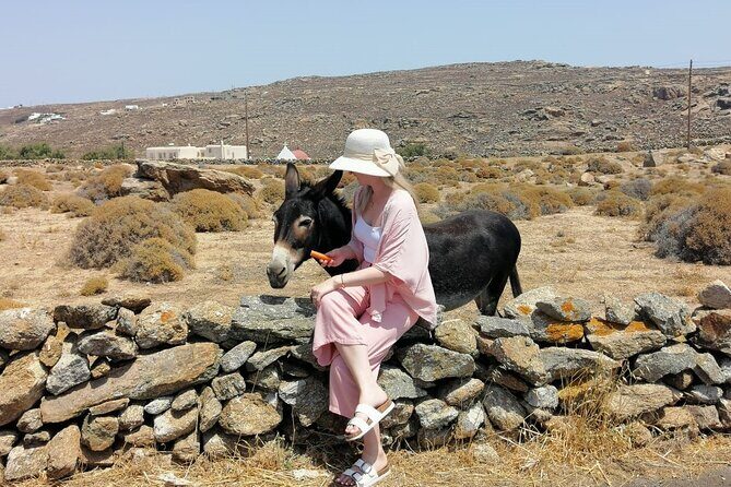 Half-Day Private Guided Tour in Mykonos up to 6 - Beautiful Beaches and Relaxed Vibes