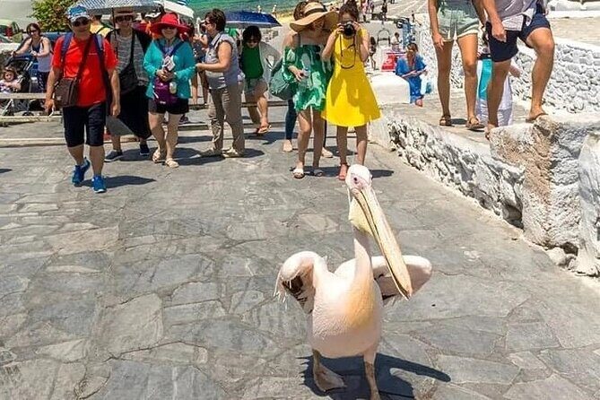 Half-Day Private Guided Tour in Mykonos up to 6 - The Experience in a Nutshell