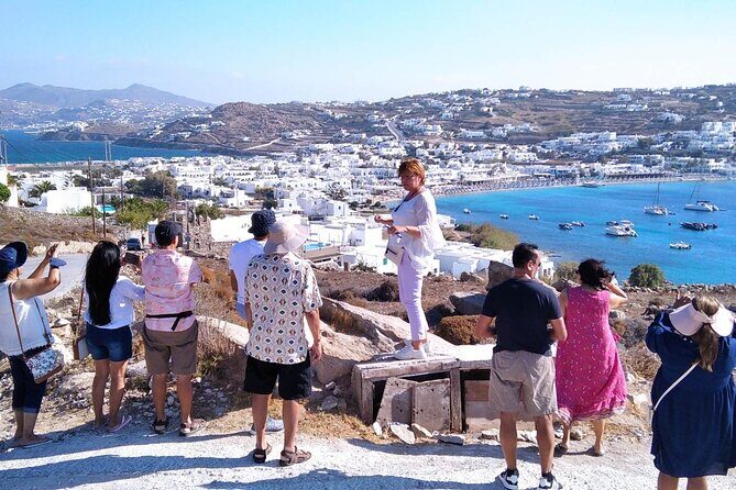 Half-Day Private Guided Tour in Mykonos up to 6 - Who Should Consider This Tour?