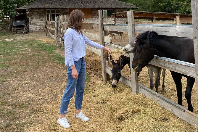 Half-Day Private Guided Tour of Orheiul Vechi and a Farmhouse - Frequently Asked Questions