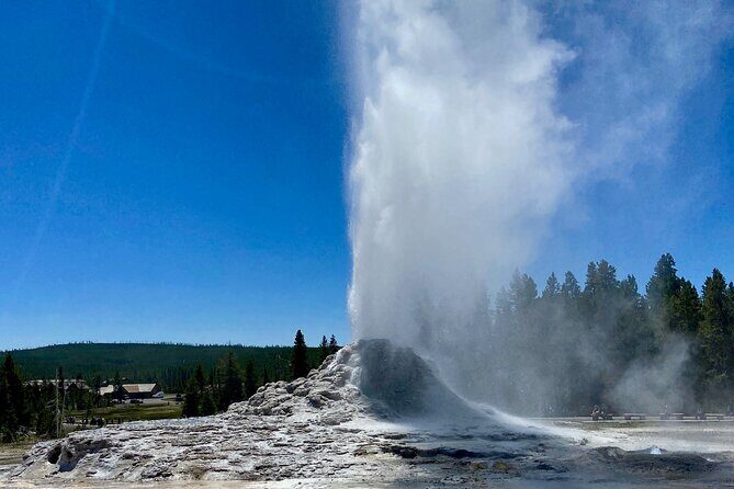 Half Day Private in Yellowstone Geyser Basin Tour - Practical Details That Shape Your Experience