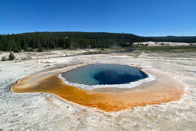 Half Day Private in Yellowstone Geyser Basin Tour - FAQs About the Half Day Private Yellowstone Geyser Basin Tour