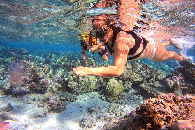 Half Day / Private Lagoon Adventure in Mo'orea - Who Should Consider This Tour?