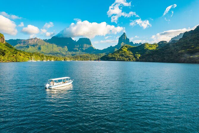 Half Day / Private Lagoon Adventure in Mo'orea - Final Thoughts