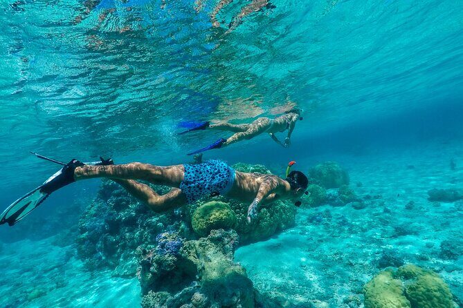 Half Day Private Lagoon Snorkeling Experience - What Makes This Tour Special?