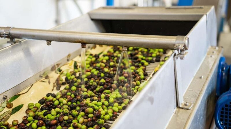 Half-Day Private Local Honey, Olive Oil & Winery Visit - FAQs