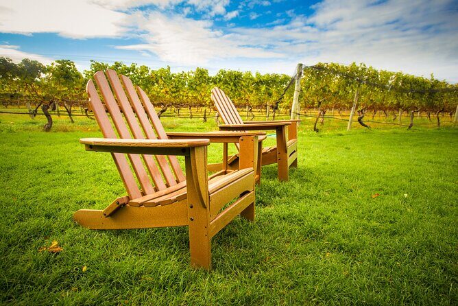 Half-Day Private Long Island Wine Tour Experience - Who Should Consider This Tour?