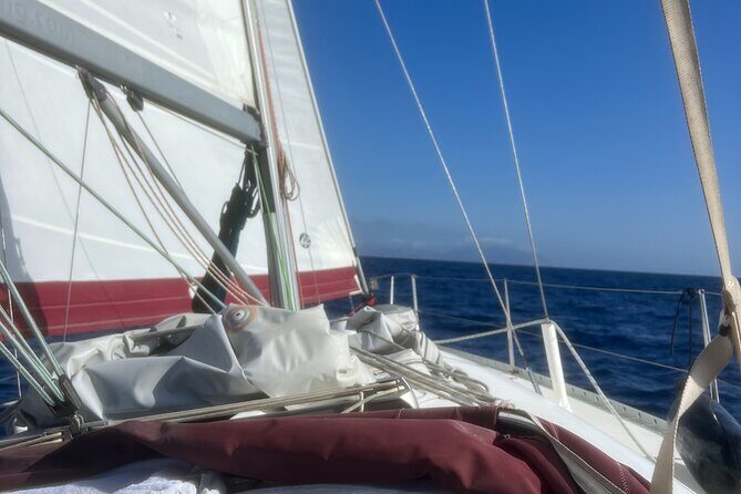 Half day Private Sailing cruise in Santorini island up to 6 pax - Who Will Love This Tour?